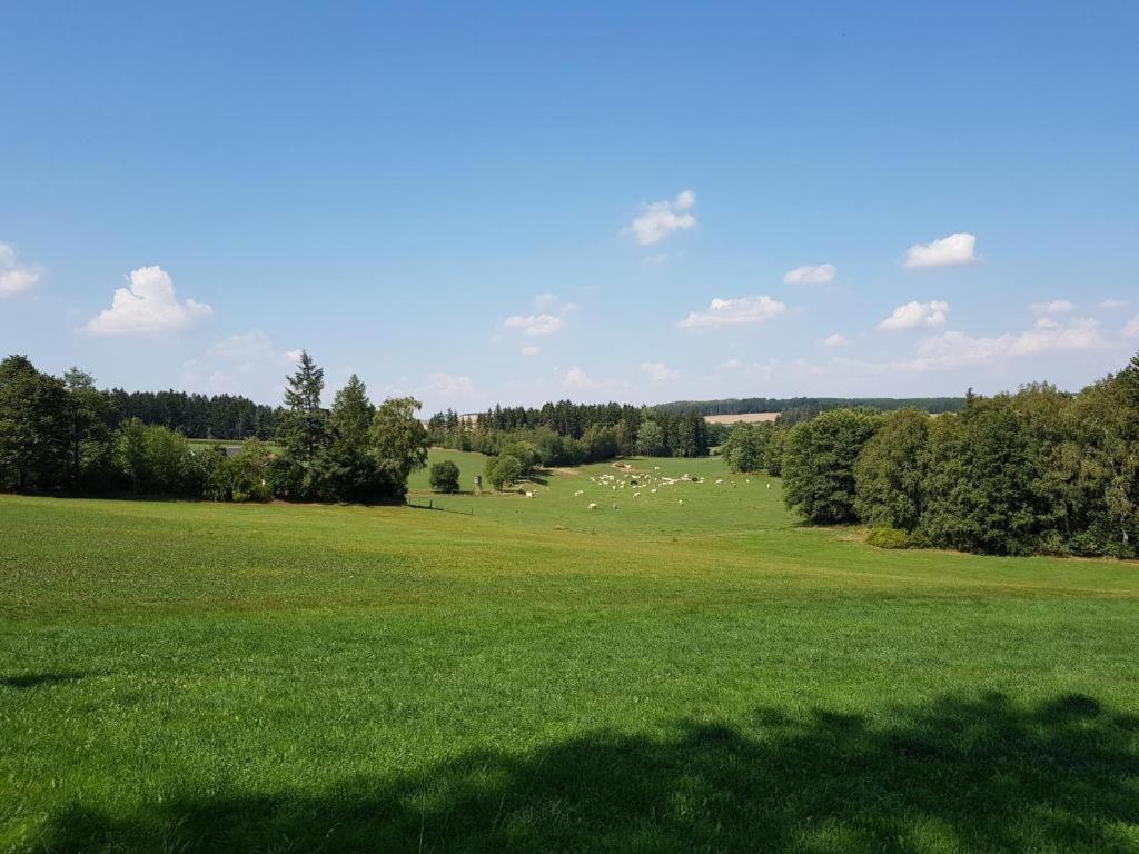 Landgasthof Gruener Baum Regnitzlosau Exterior foto